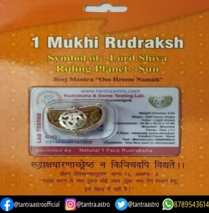 ek mukhi rudraksha tantraastro