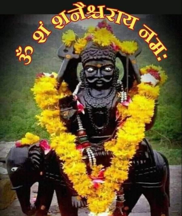 shani puja tantra astro