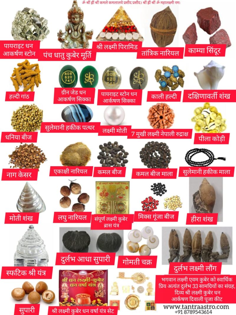 Extremely Rare Energized Dhan Aakarshan items Maha Laxmi Kubera Diwali Puja Kit धन आकर्षण हेतु अति दुर्लभ लक्ष्मी कुबेर पूजन सामग्री (Tantra Astro) - Image 2