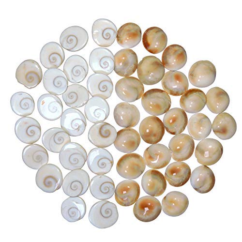 Natural Gomati/Gomti Chakra (White) – 21 Pieces