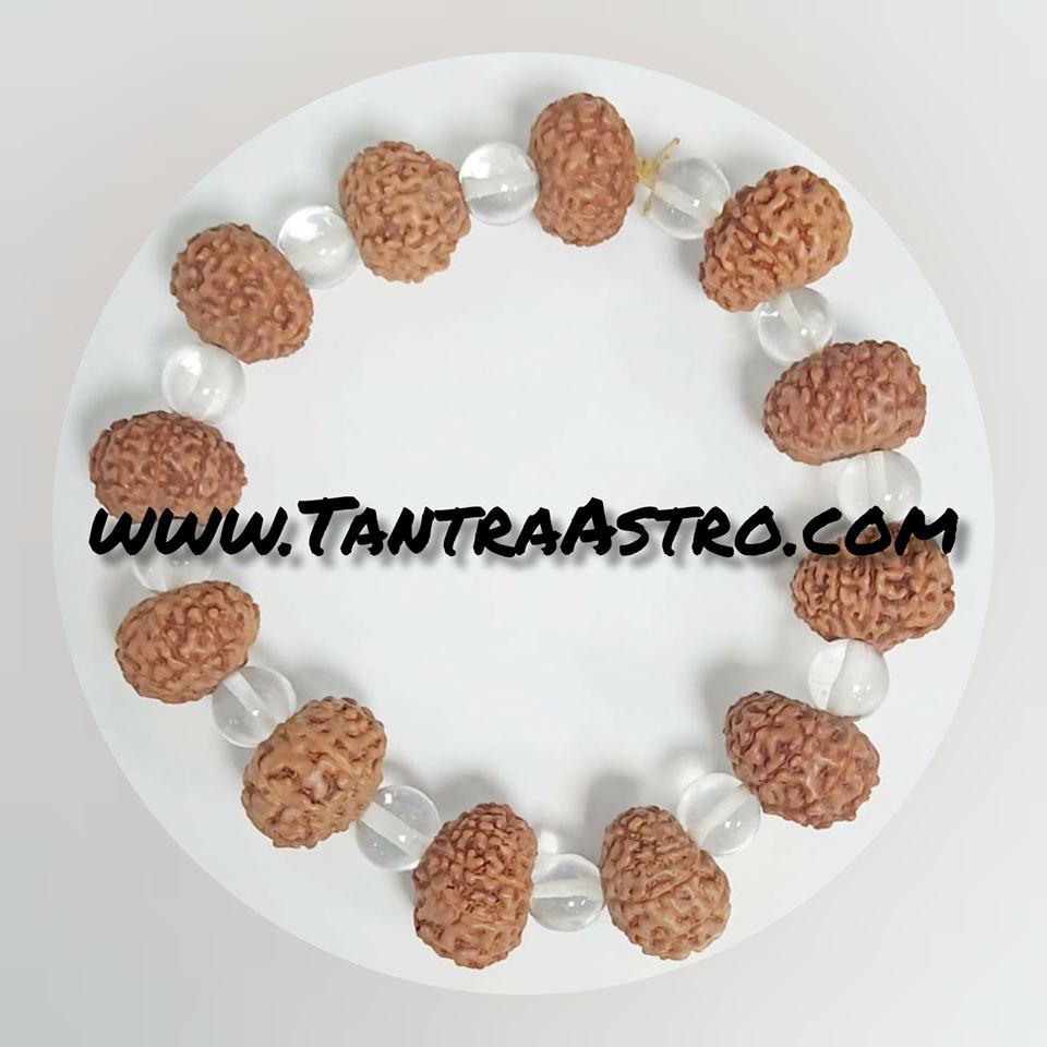 100% Purity Guaranteed Certified & Energized 9 Face Rudraksha Bracelet With Sphatik