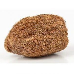 ekakshi coconut tantraastro