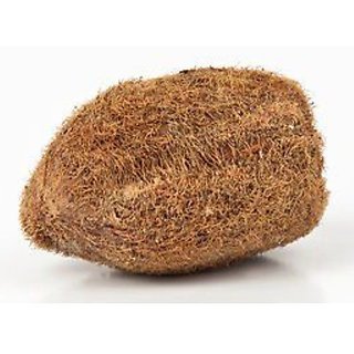 अभिमंत्रित असली एकाक्षी नारियल (One Eye Coconut Energized)
