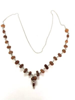indrani-rudraksha-mala-tantraastro
