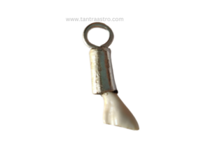 original ketu mani mukta mani