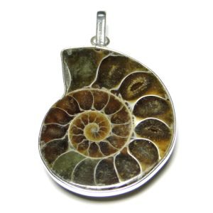 Ammonite Fossil Stone Pendant
