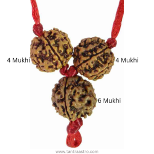 Saraswati Bandh Rudraksha Kavach सरस्वती बंध कवच रुद्राक्ष