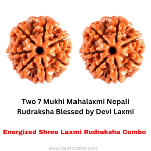 7 Mukhi Nepali Rudraksha Cash Box - Image 3
