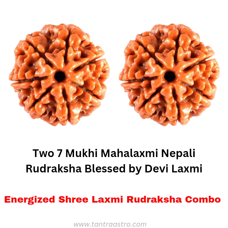 7 Mukhi Nepali Rudraksha Cash Box