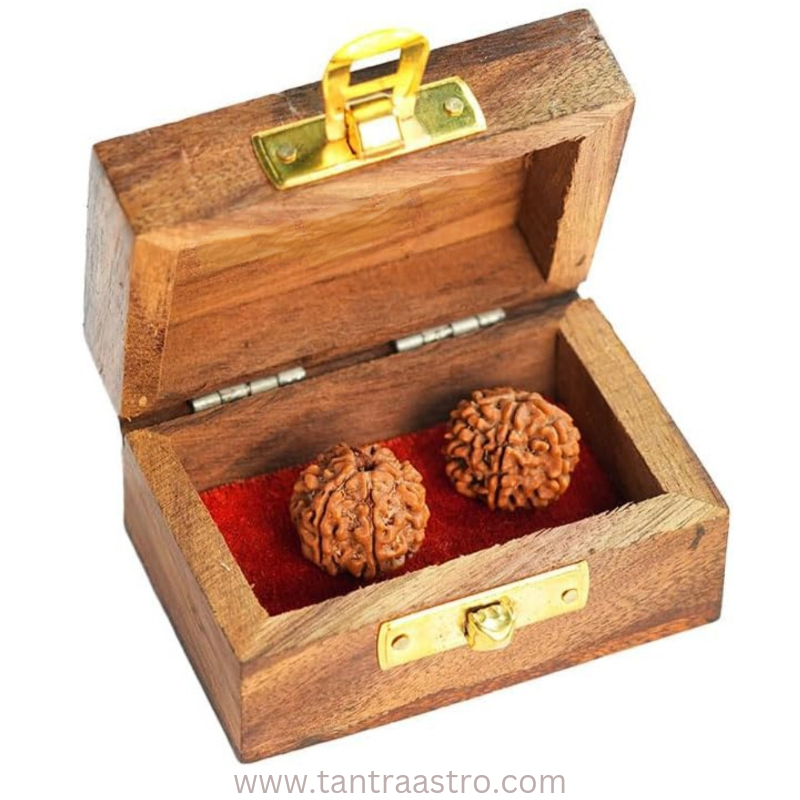 7 Mukhi Nepali Rudraksha Cash Box